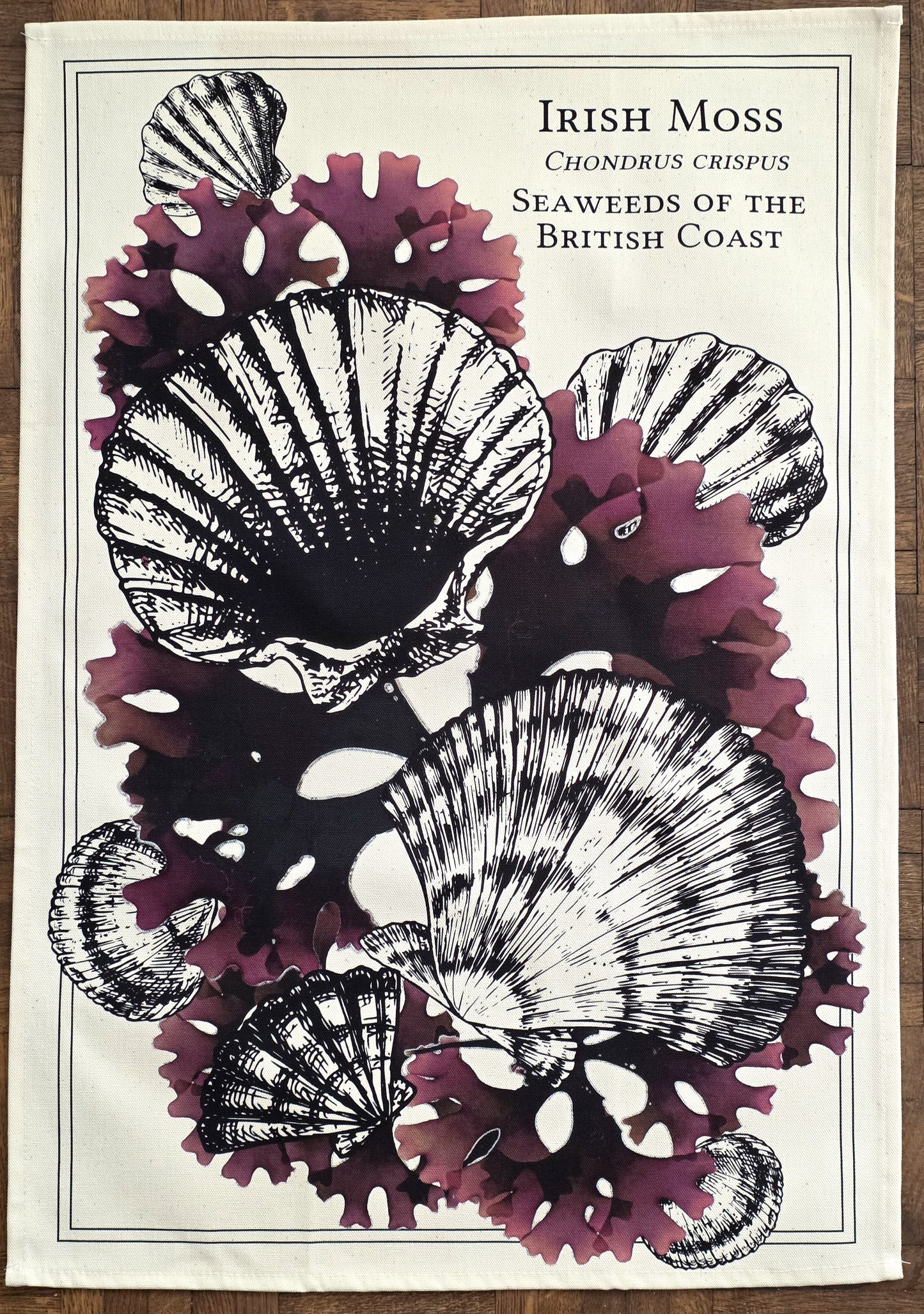 Scallop Tea Towel by The Driftweed Artist — hanging