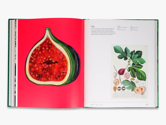 Trees: From Root to Leaf – A Financial Times Book of the Year