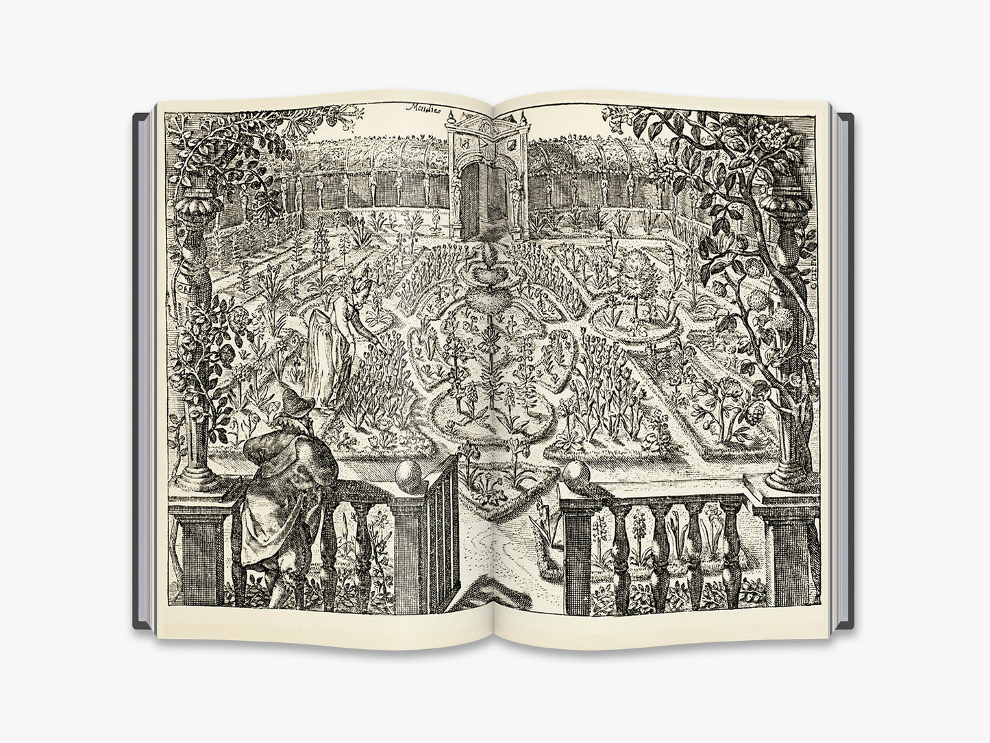The Quest for Shakespeare’s Garden