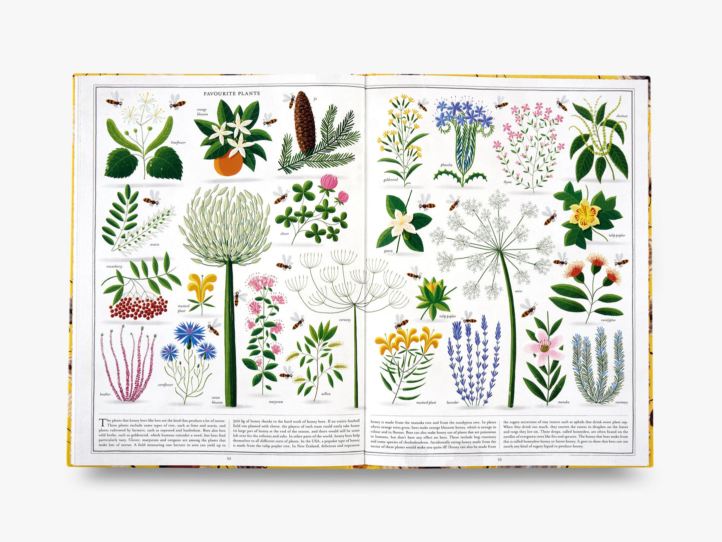 The Book of Bees