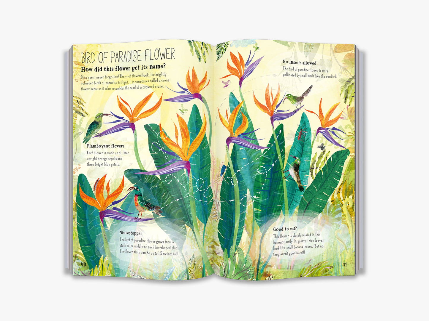 The Big Book of Blooms