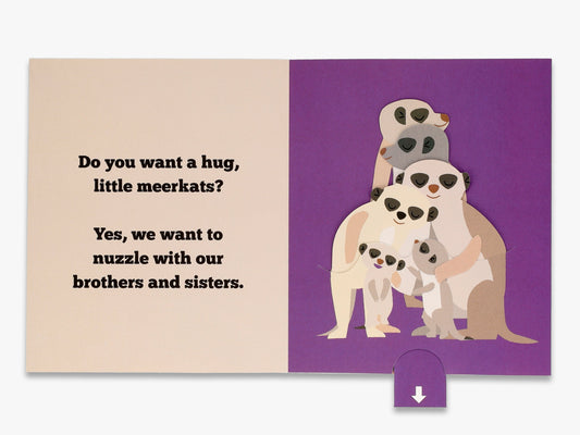 A Flip Flap Pop Up Book