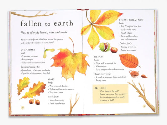 A Field Guide to Autumn: Play and learn in nature