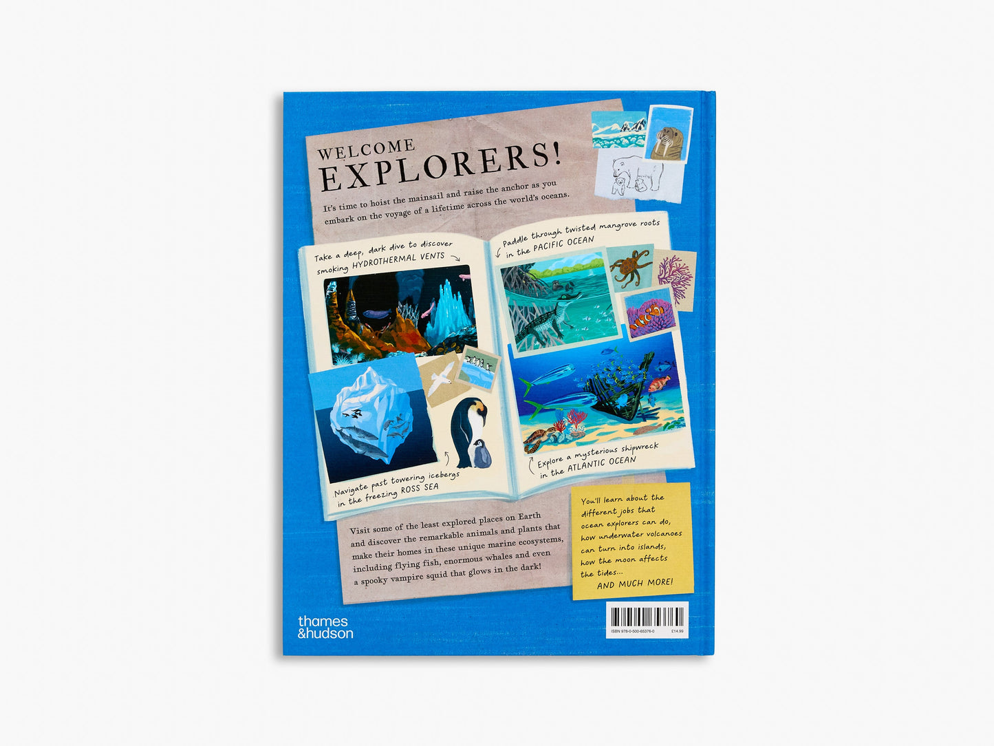 Young Explorers series