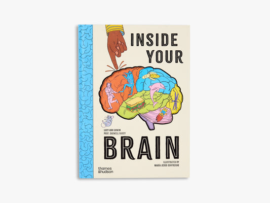 Inside Your Brain