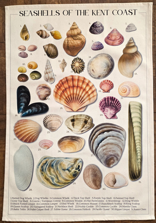 Seashells of the Kent Coast Tea Towel by The Driftweed Artist — hanging