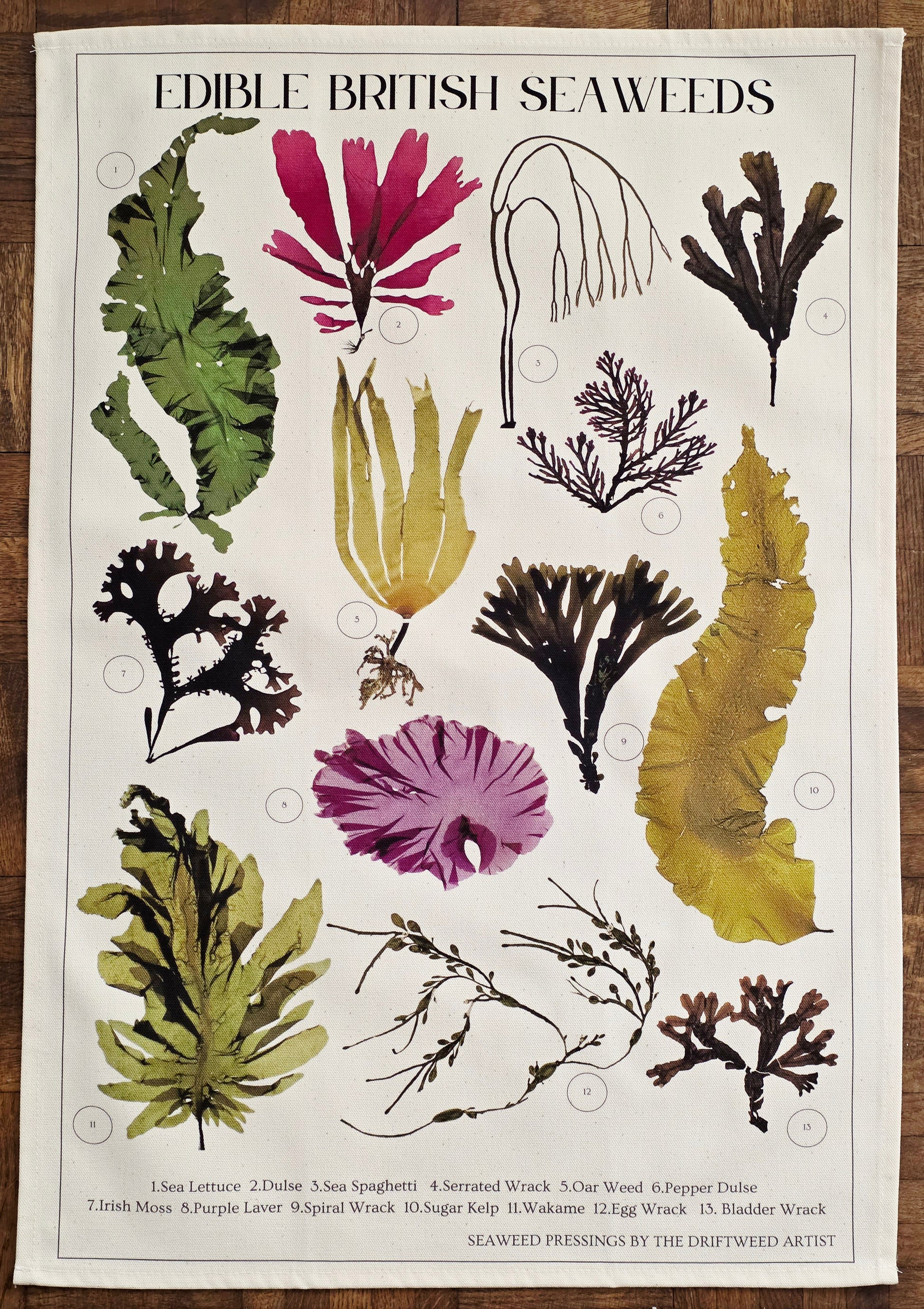 Edible British Seaweeds Tea Towel by The Driftweed Artist — hanging