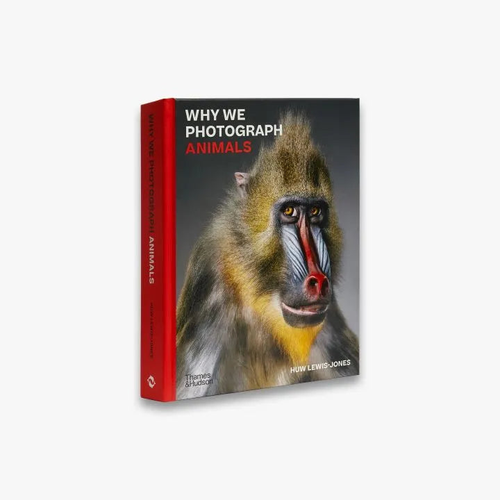 Why We Photograph Animals