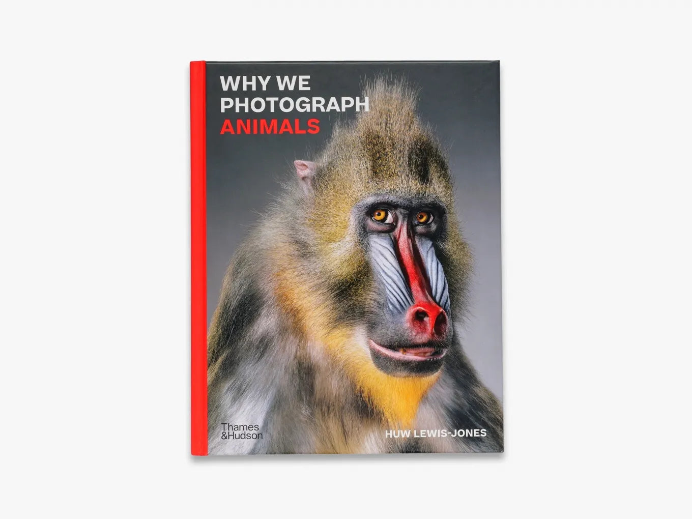 Why We Photograph Animals