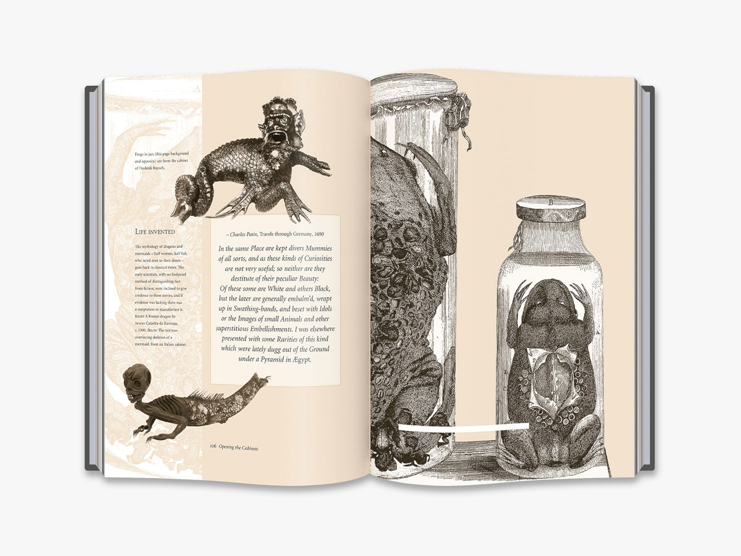Cabinets of Curiosities - interior 3