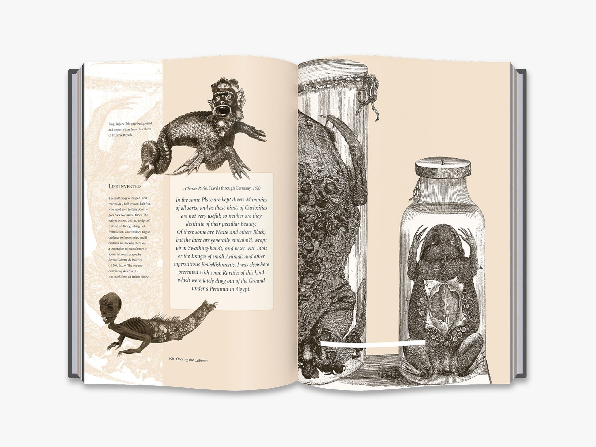 Cabinets of Curiosities - interior 3