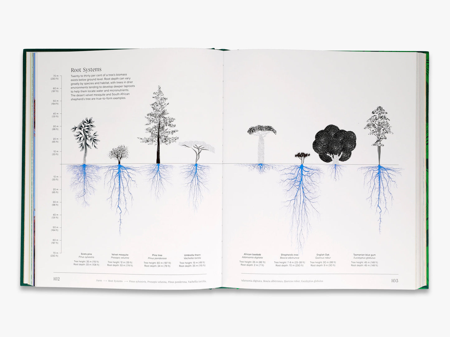 Trees: From Root to Leaf – A Financial Times Book of the Year