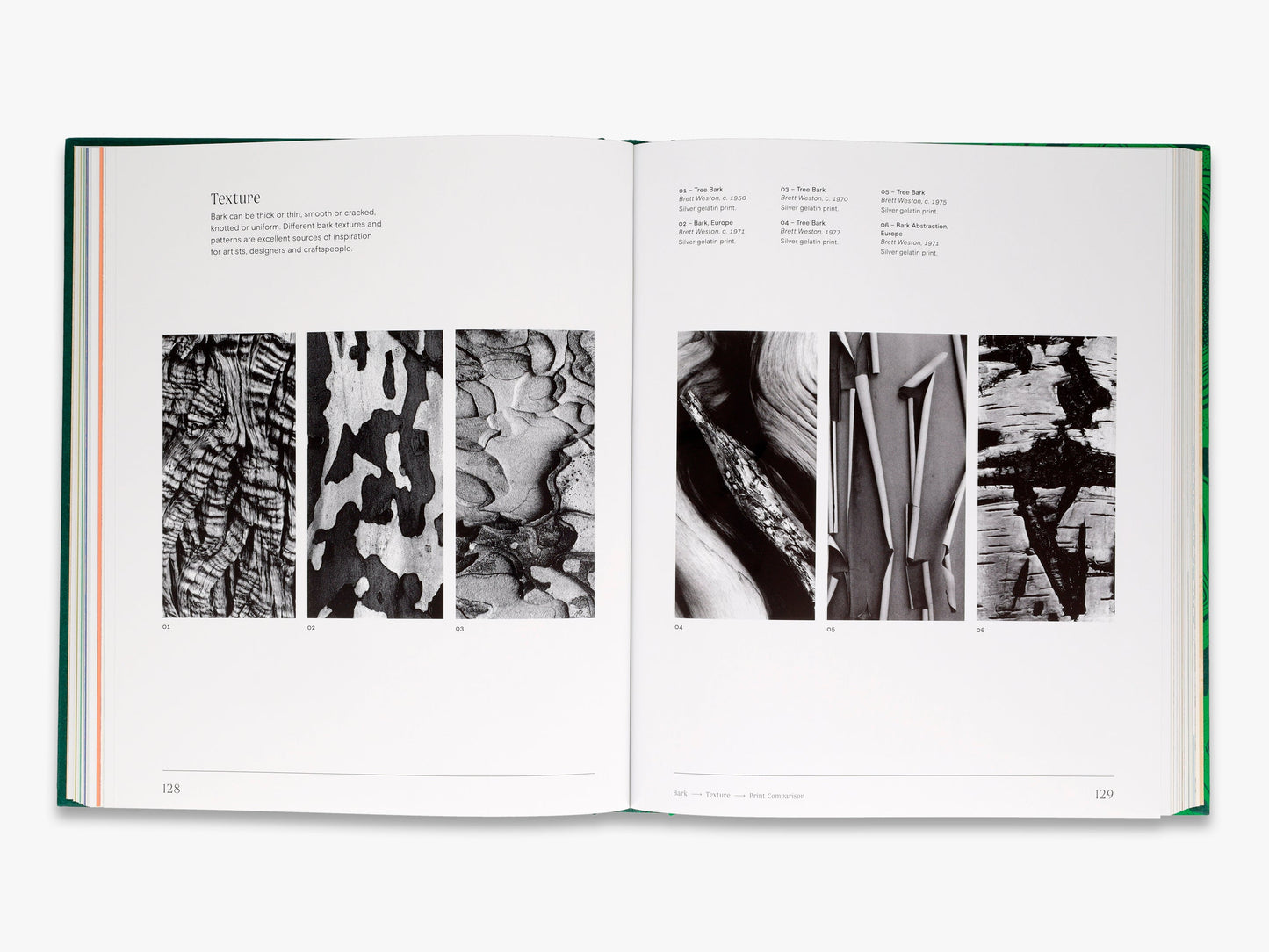 Trees: From Root to Leaf – A Financial Times Book of the Year