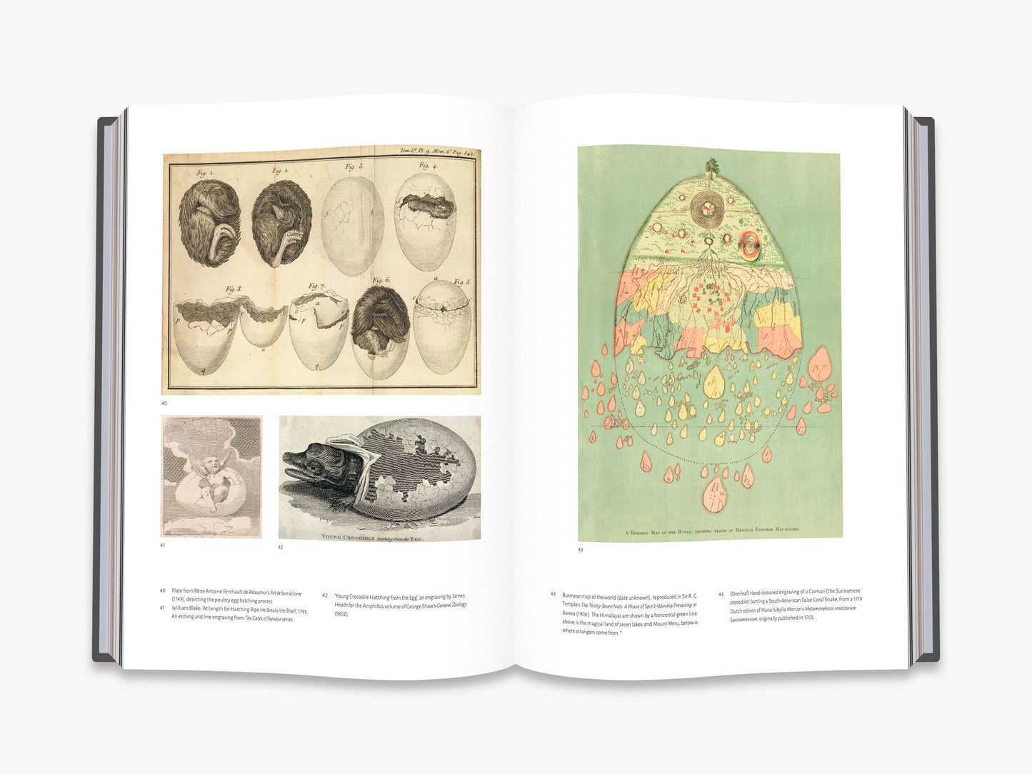 Affinities - interior 2