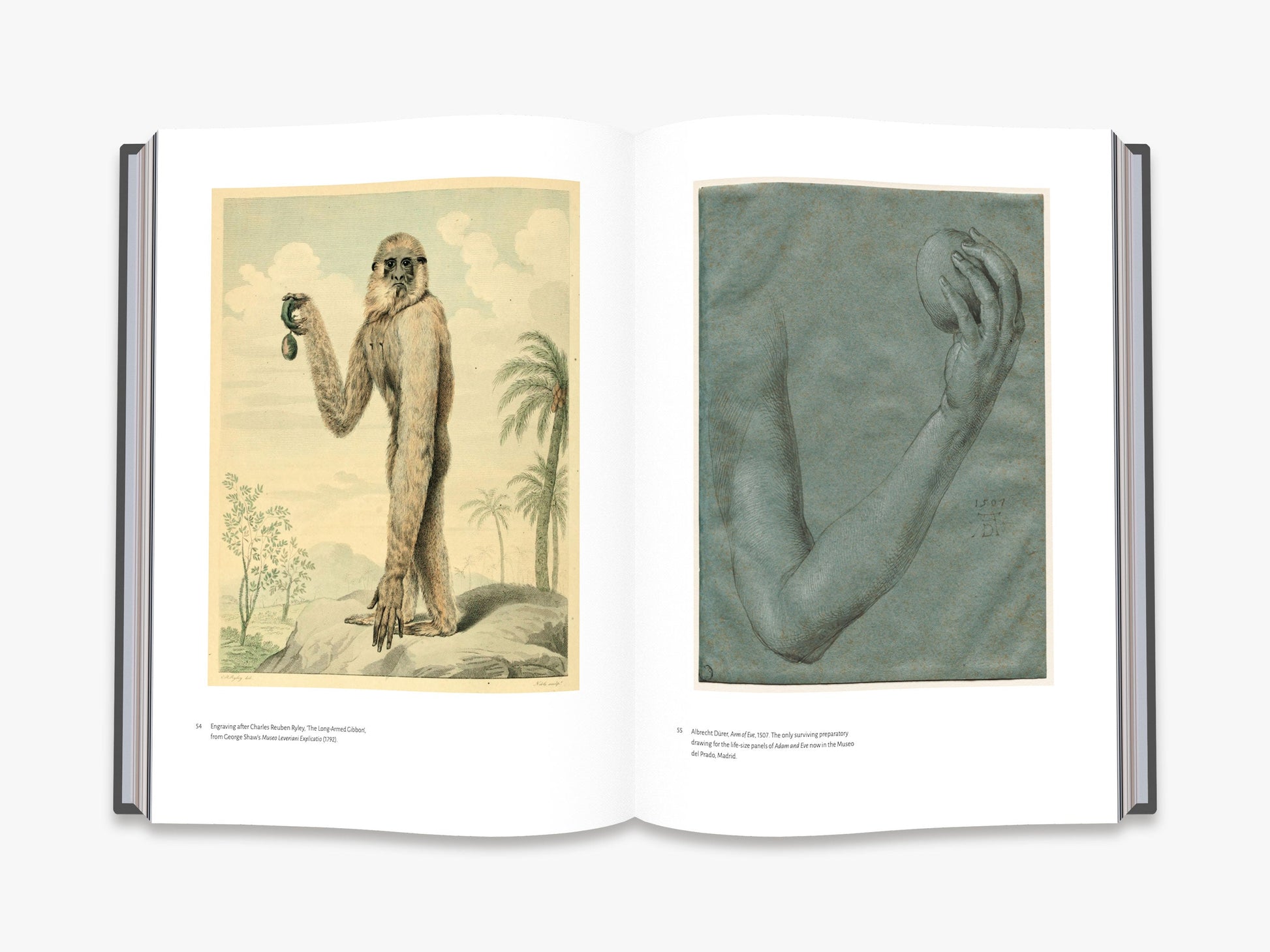 Affinities - interior 3