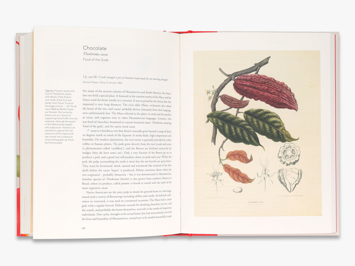 Remarkable Plants