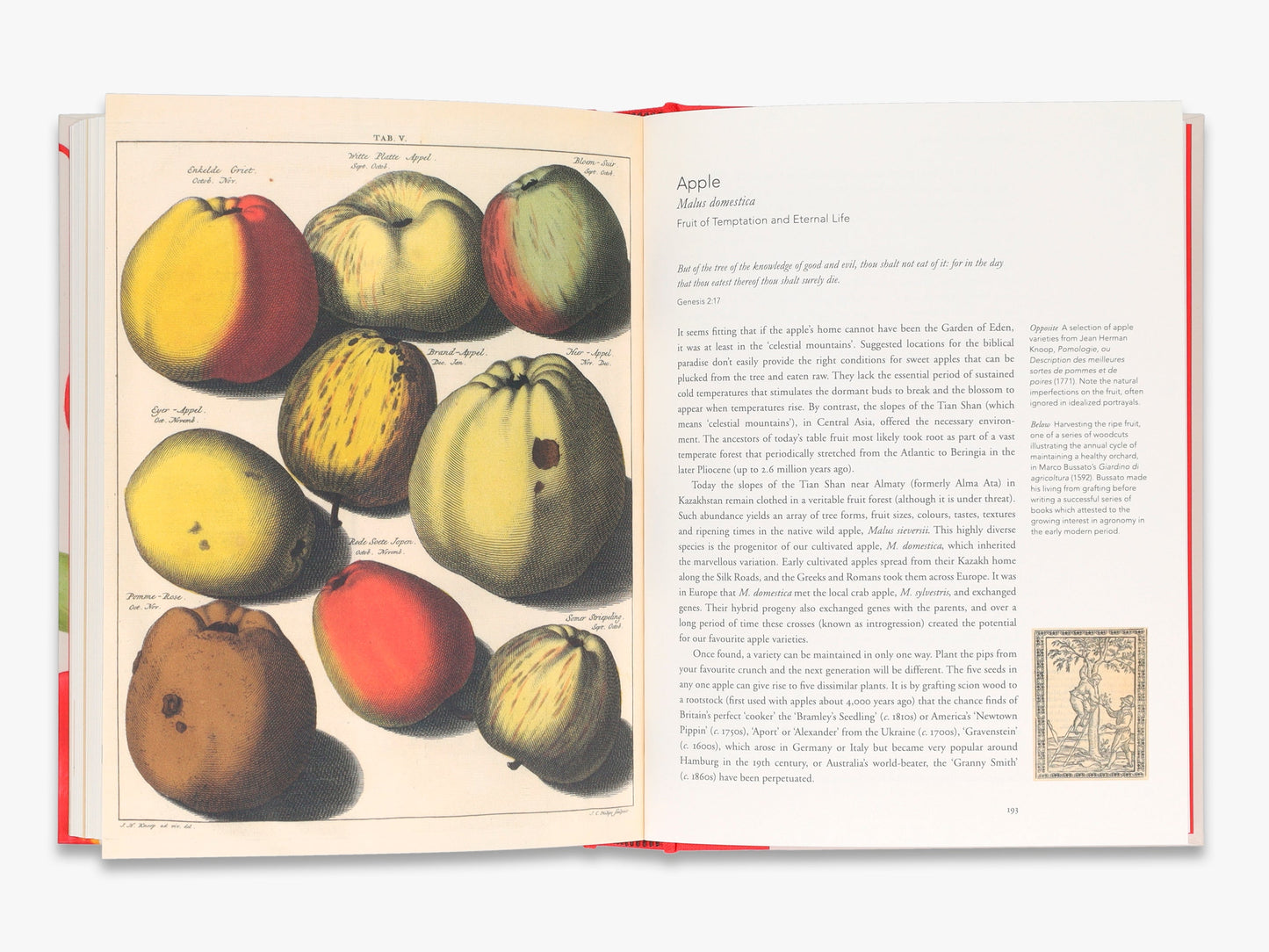 Remarkable Plants