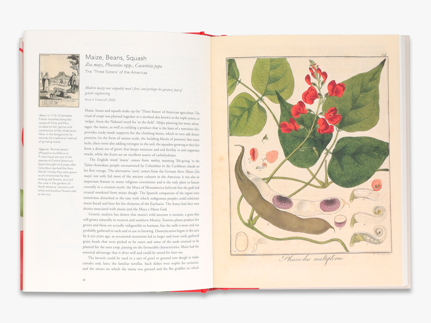 Remarkable Plants