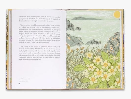 The Book of Wild Flowers