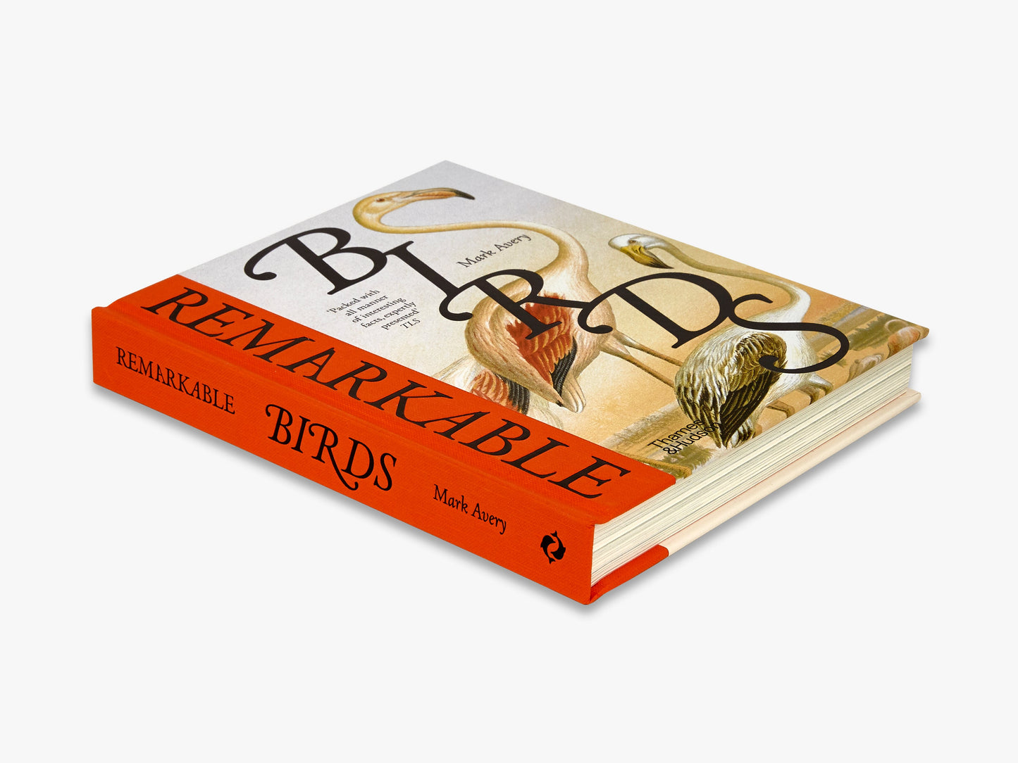 Remarkable Birds