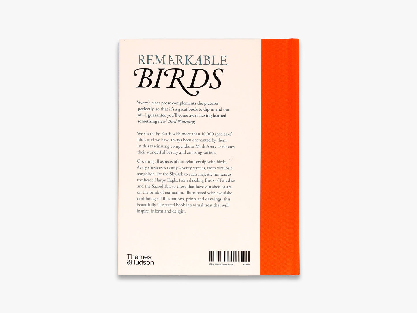 Remarkable Birds