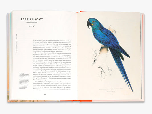 Remarkable Birds