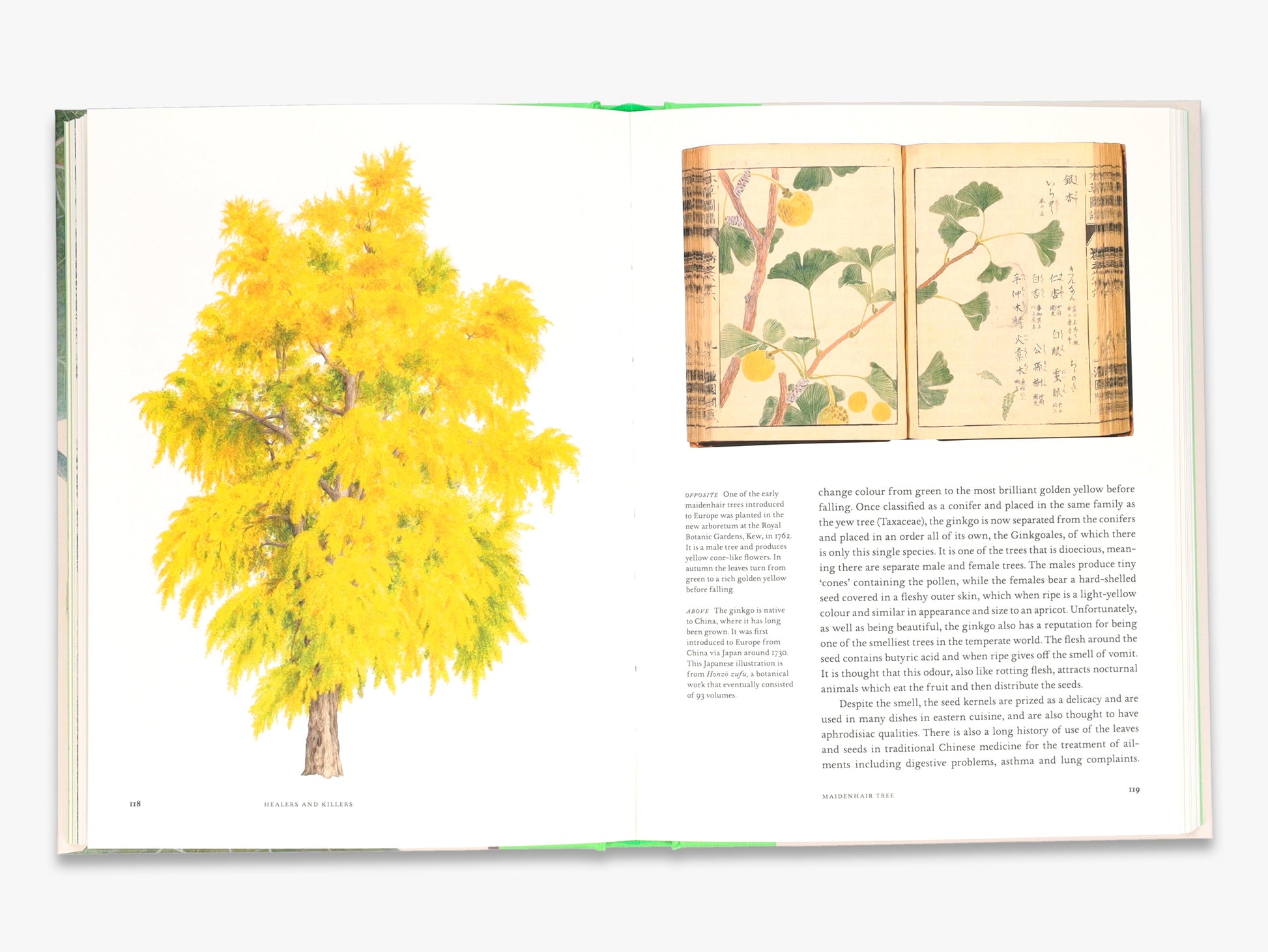 Remarkable Trees