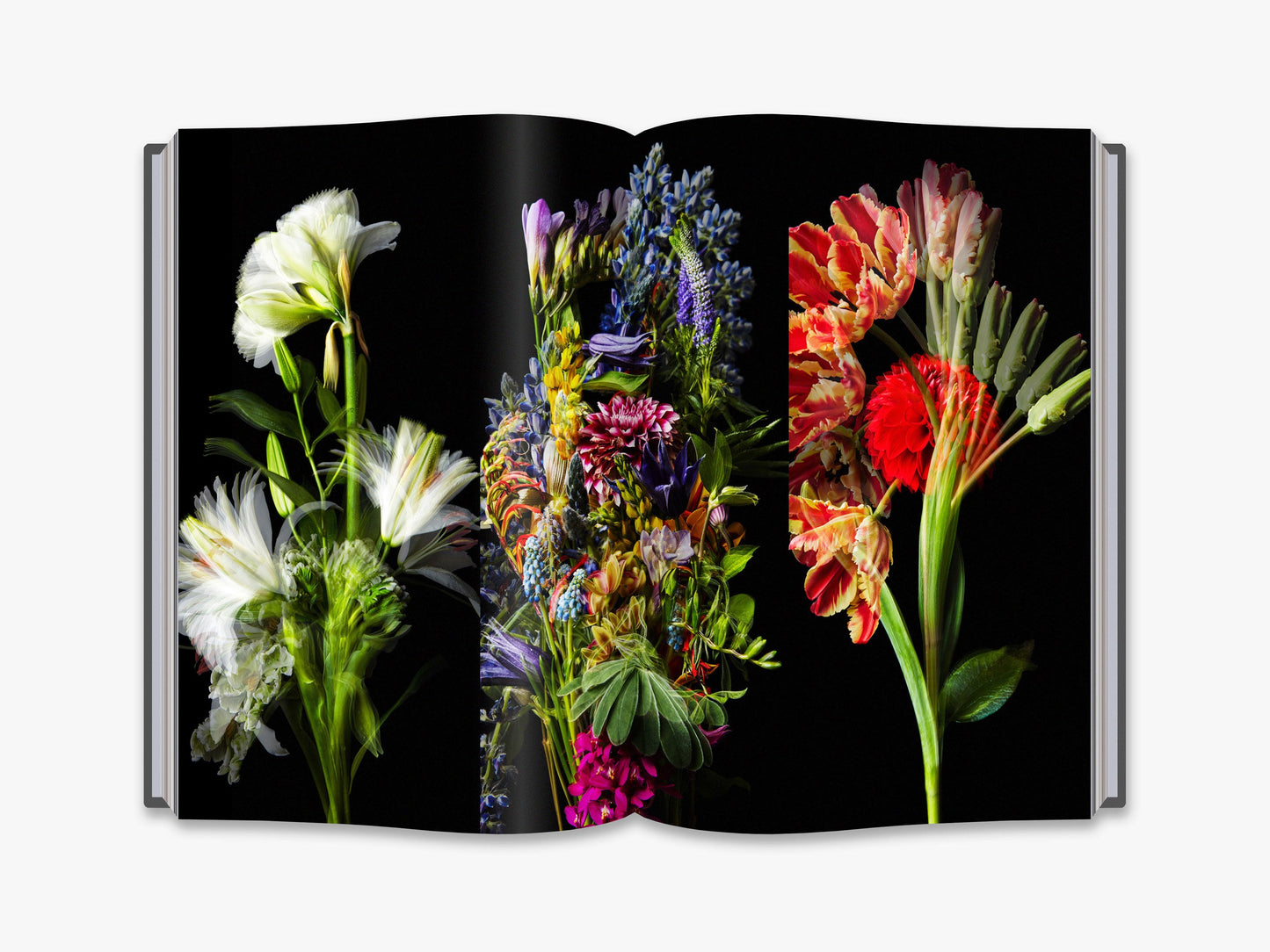 Flower Art: Makoto Azuma