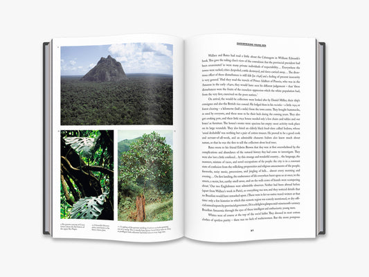 Naturalists in Paradise - interior 3