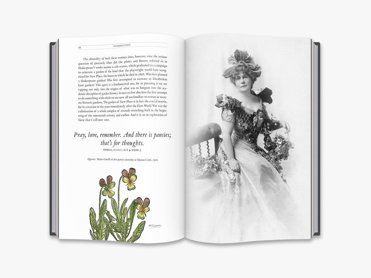 The Quest for Shakespeare’s Garden