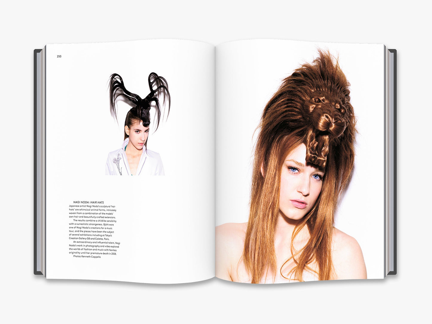Hair: Fashion and Fantasy - interior 6