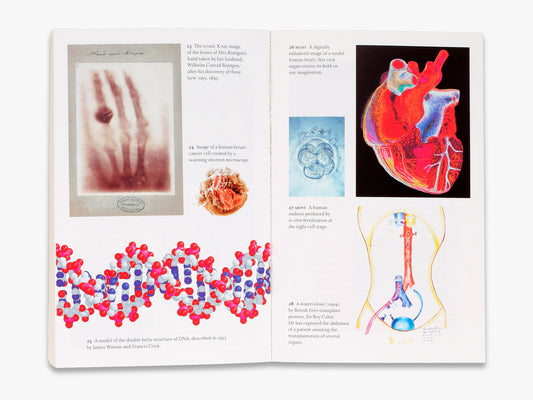 Great Discoveries in Medicine