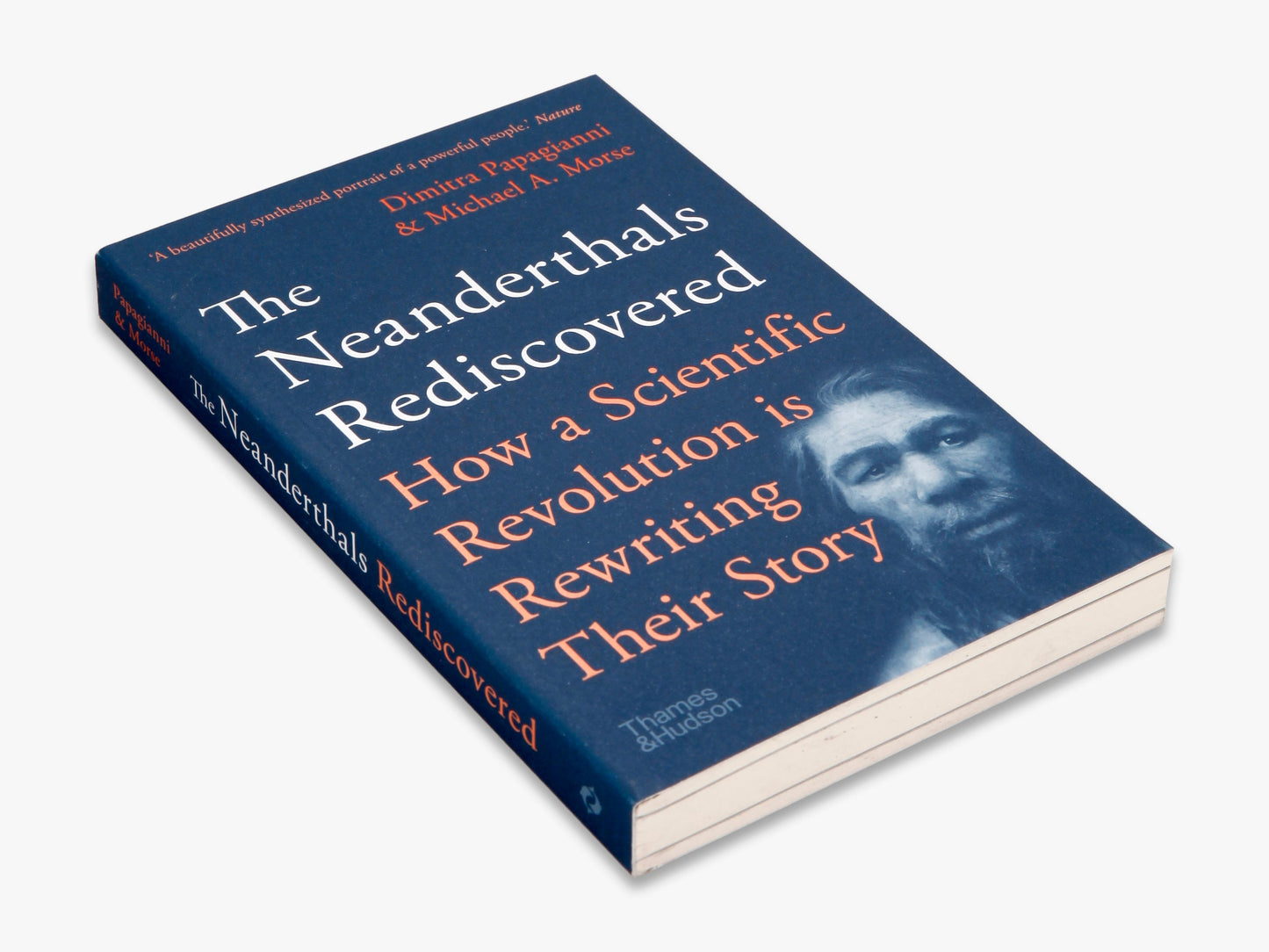 The Neanderthals Rediscovered