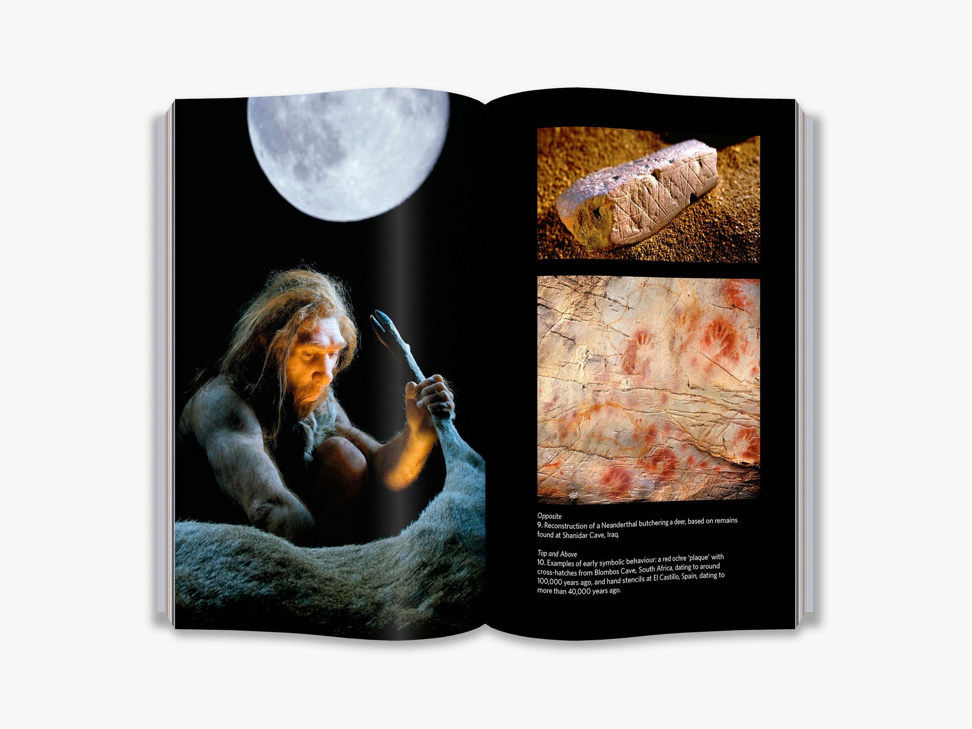 The Neanderthals Rediscovered - interior 4