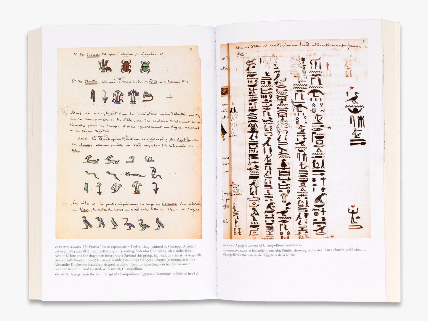 Cracking the Egyptian Code