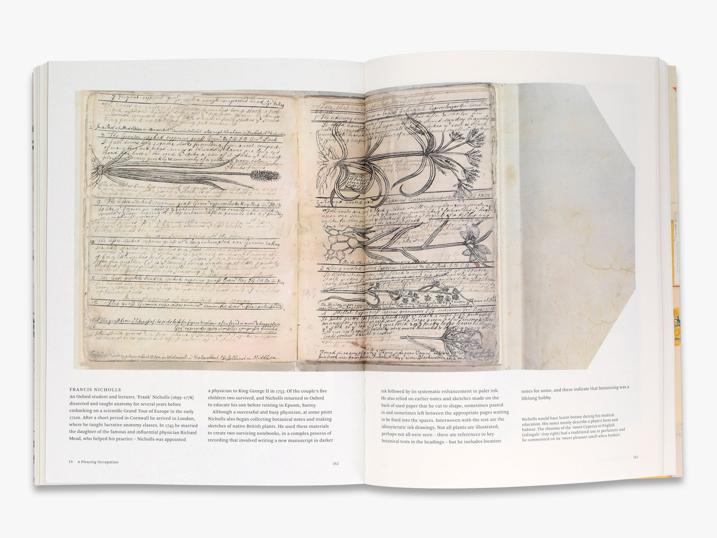 Botanical Sketchbooks
