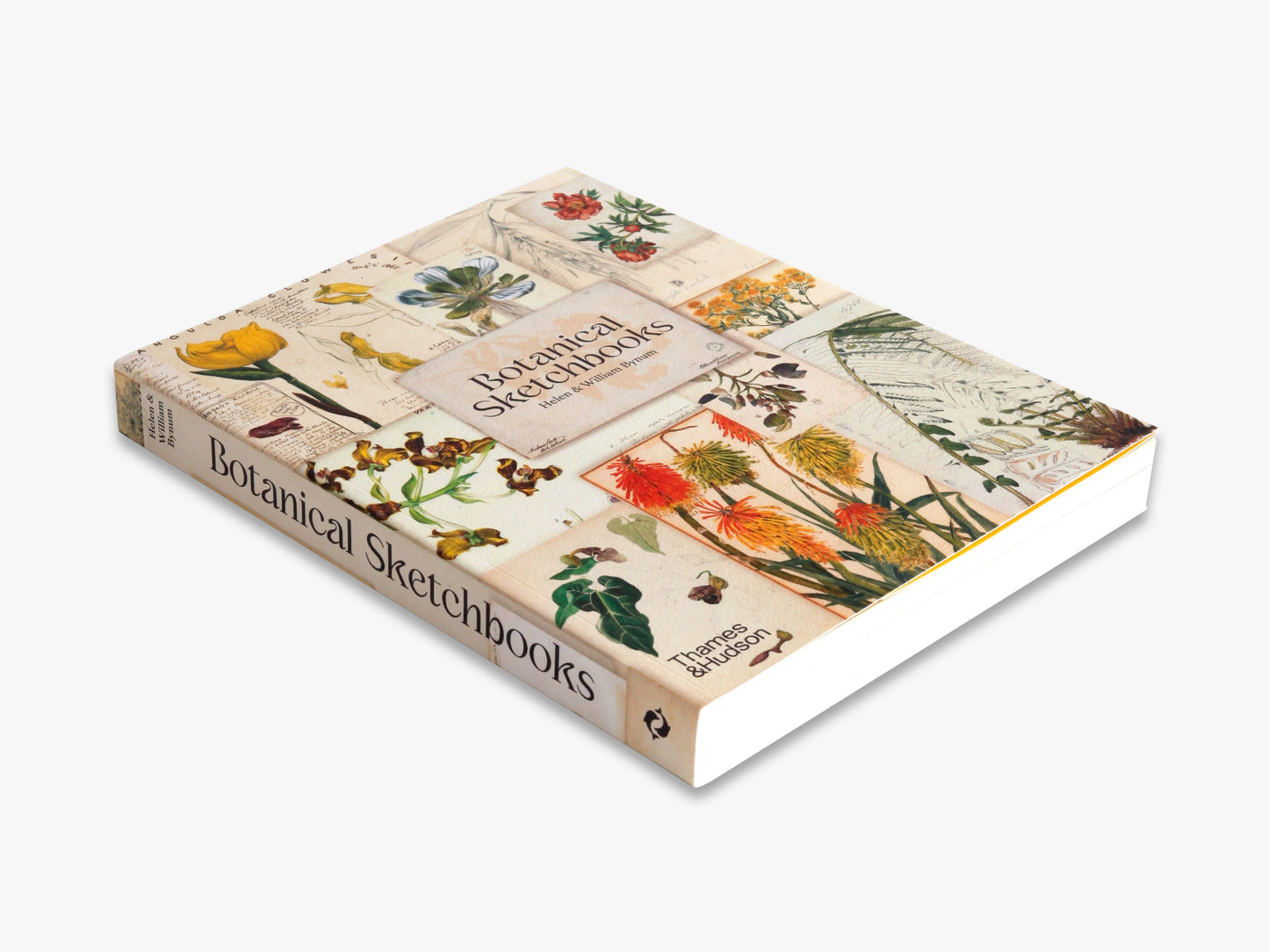 Botanical Sketchbooks