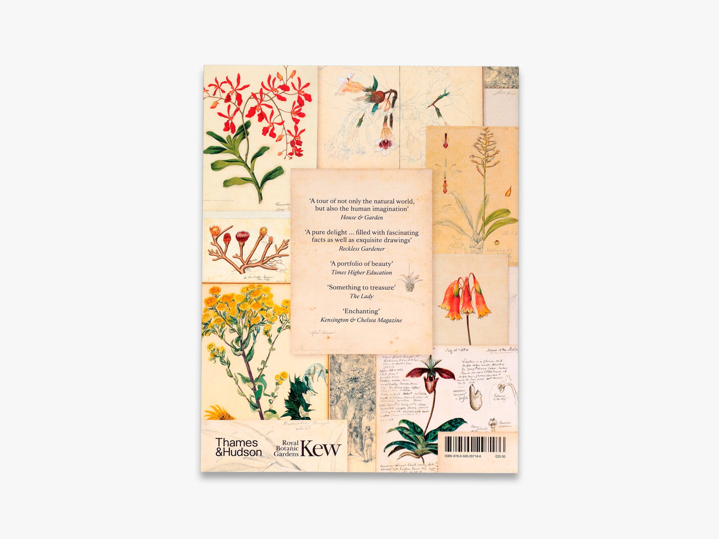 Botanical Sketchbooks