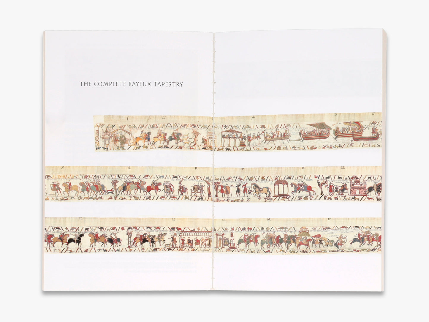The Story of the Bayeux Tapestry