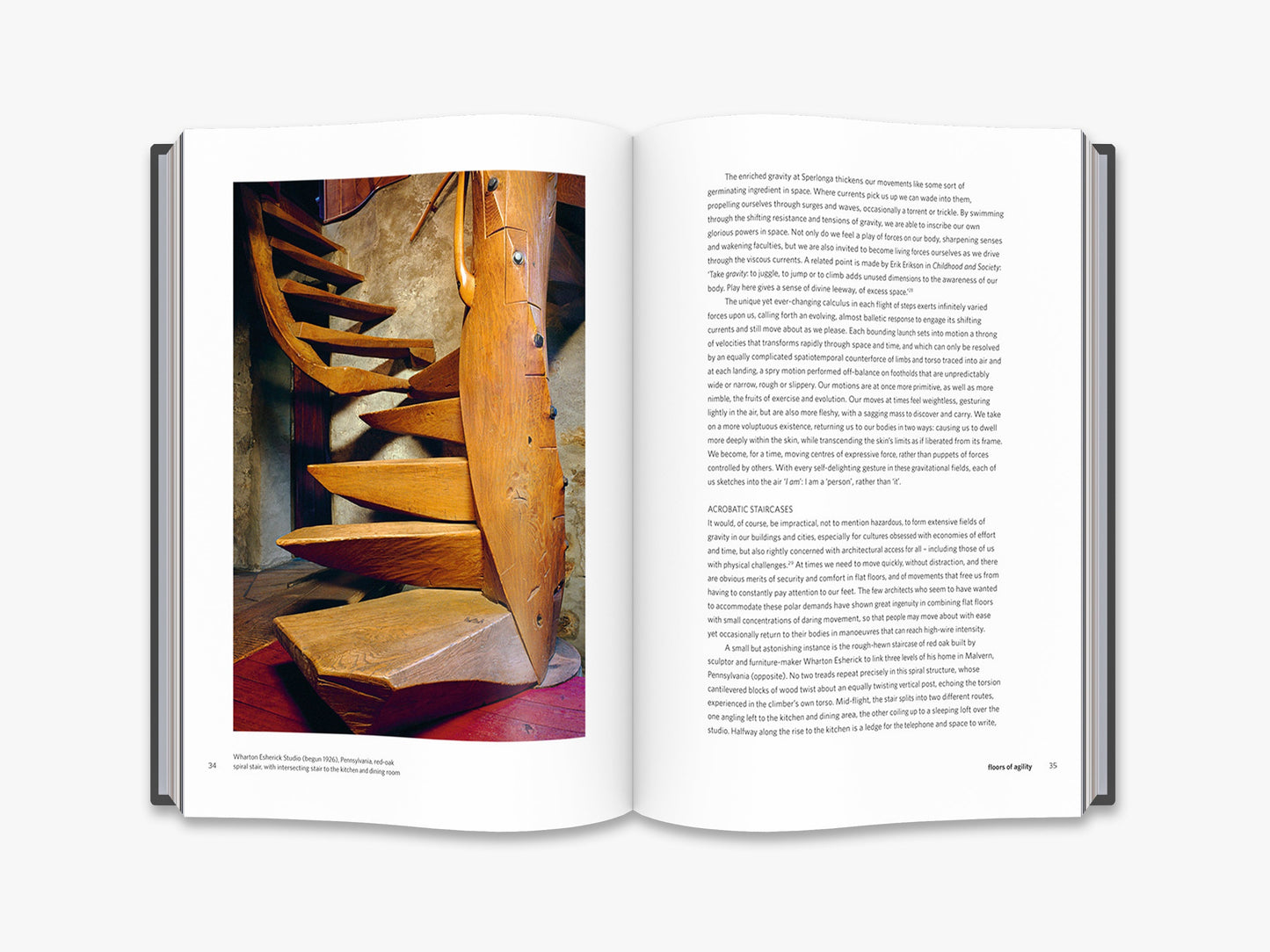 The Experience of Architecture