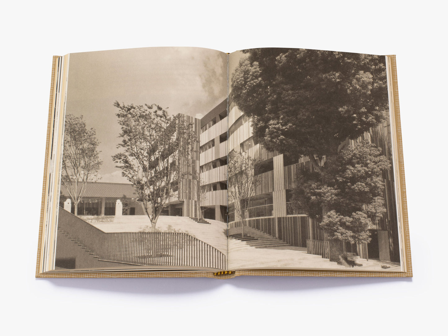 Kengo Kuma: My Life as an Architect in Tokyo