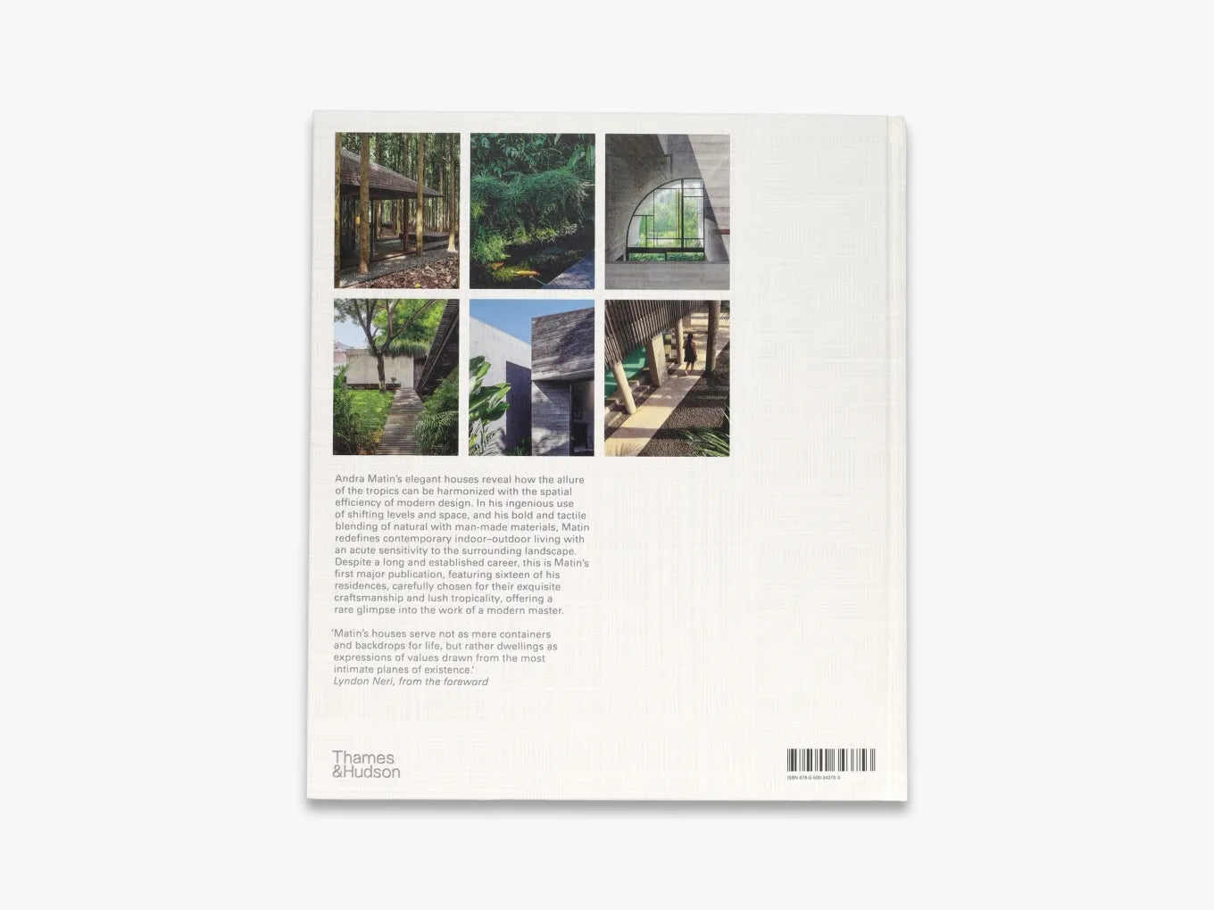 Tropicality: Houses by Andra Matin (House)
