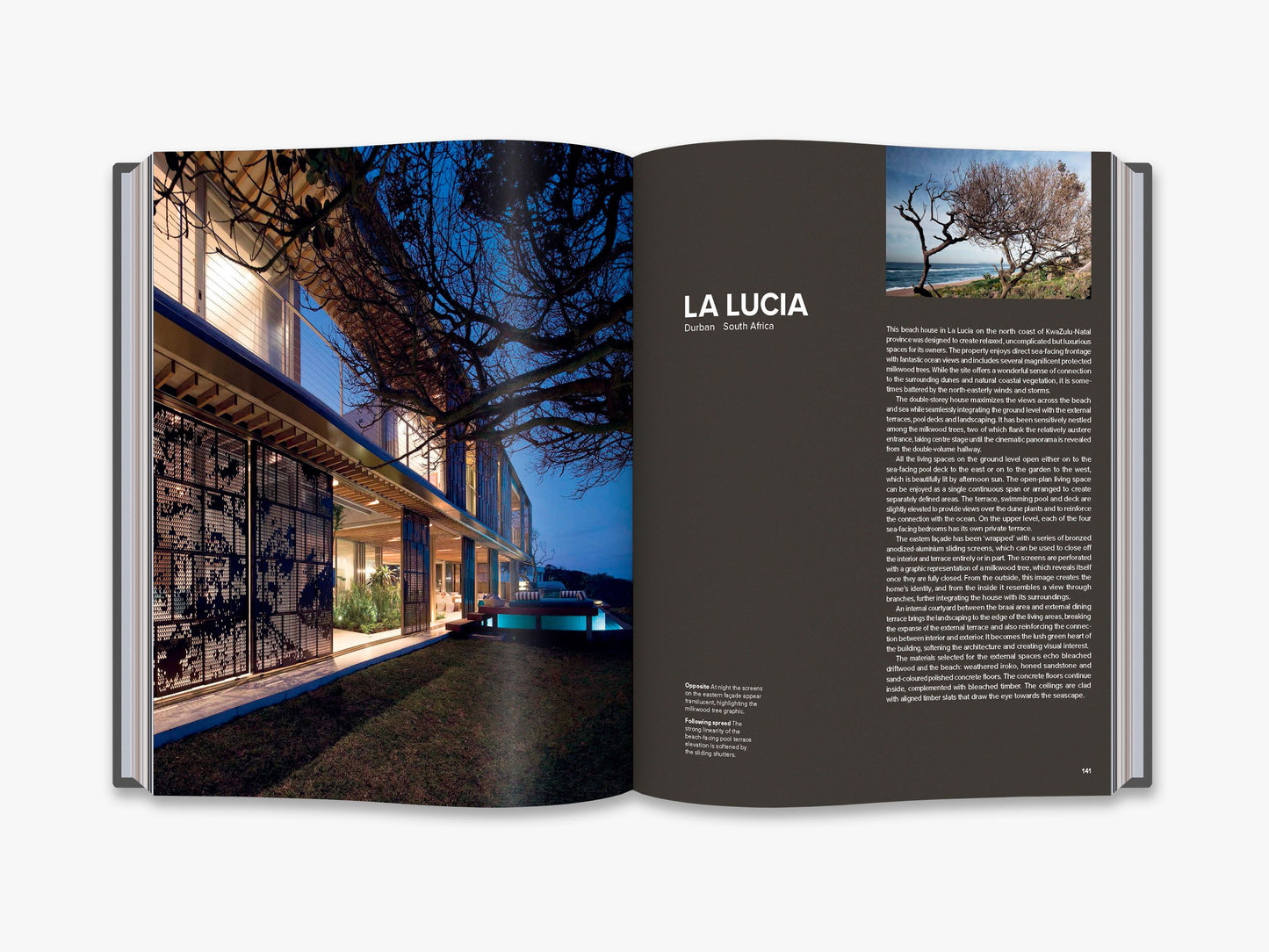 Light Space Life: Houses by SAOTA