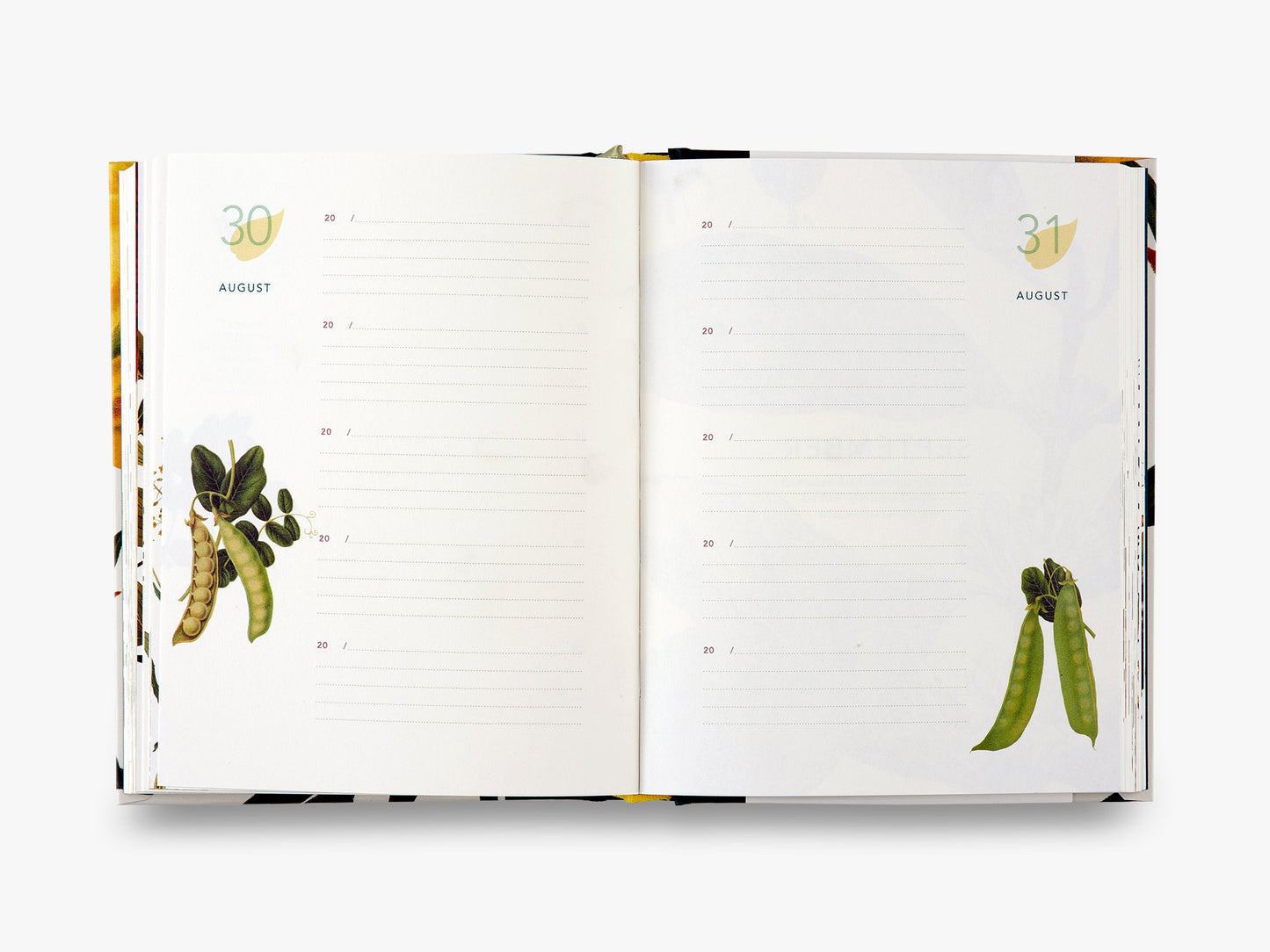 Remarkable Plants: Five-Year Journal