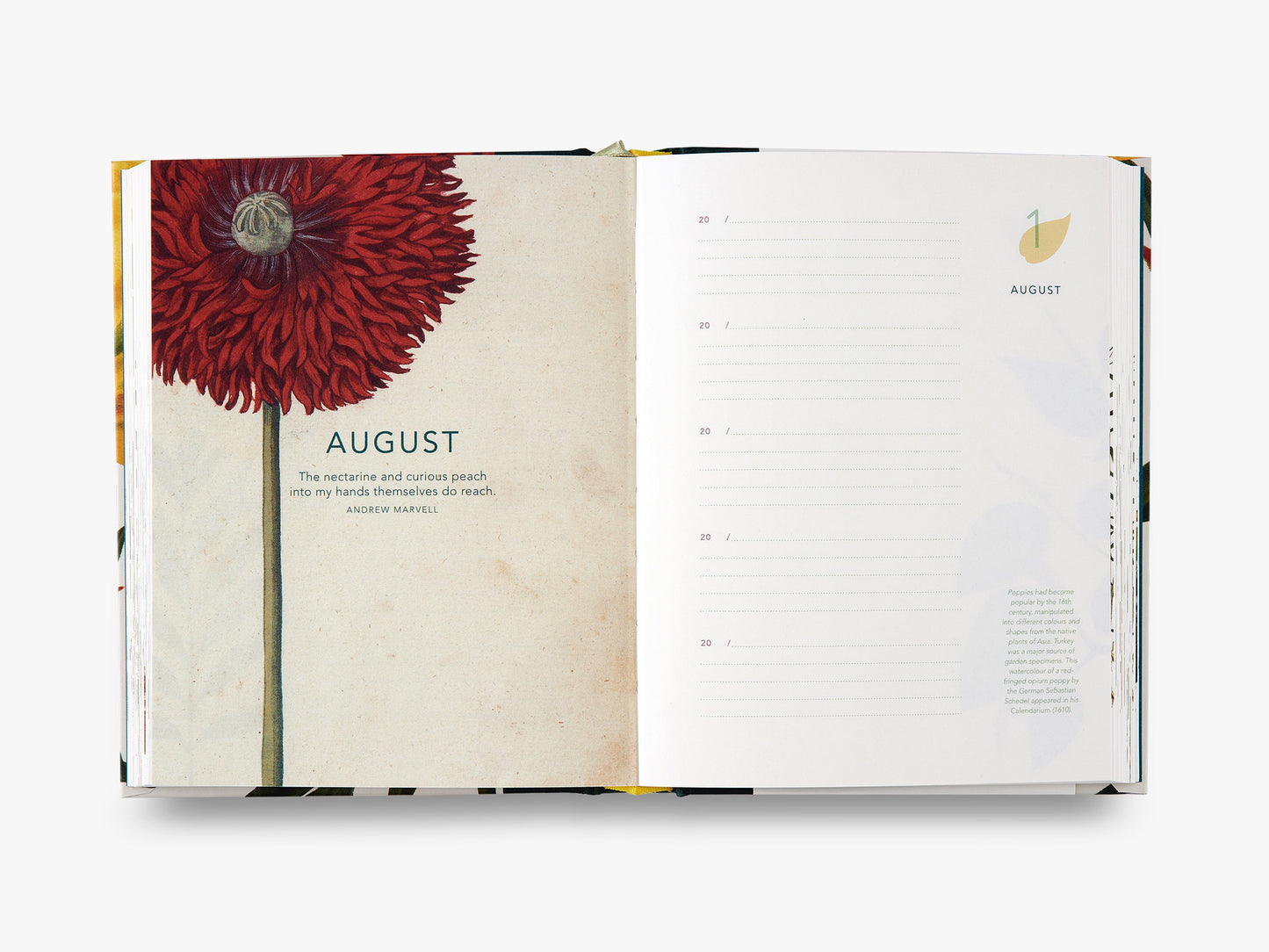 Remarkable Plants: Five-Year Journal