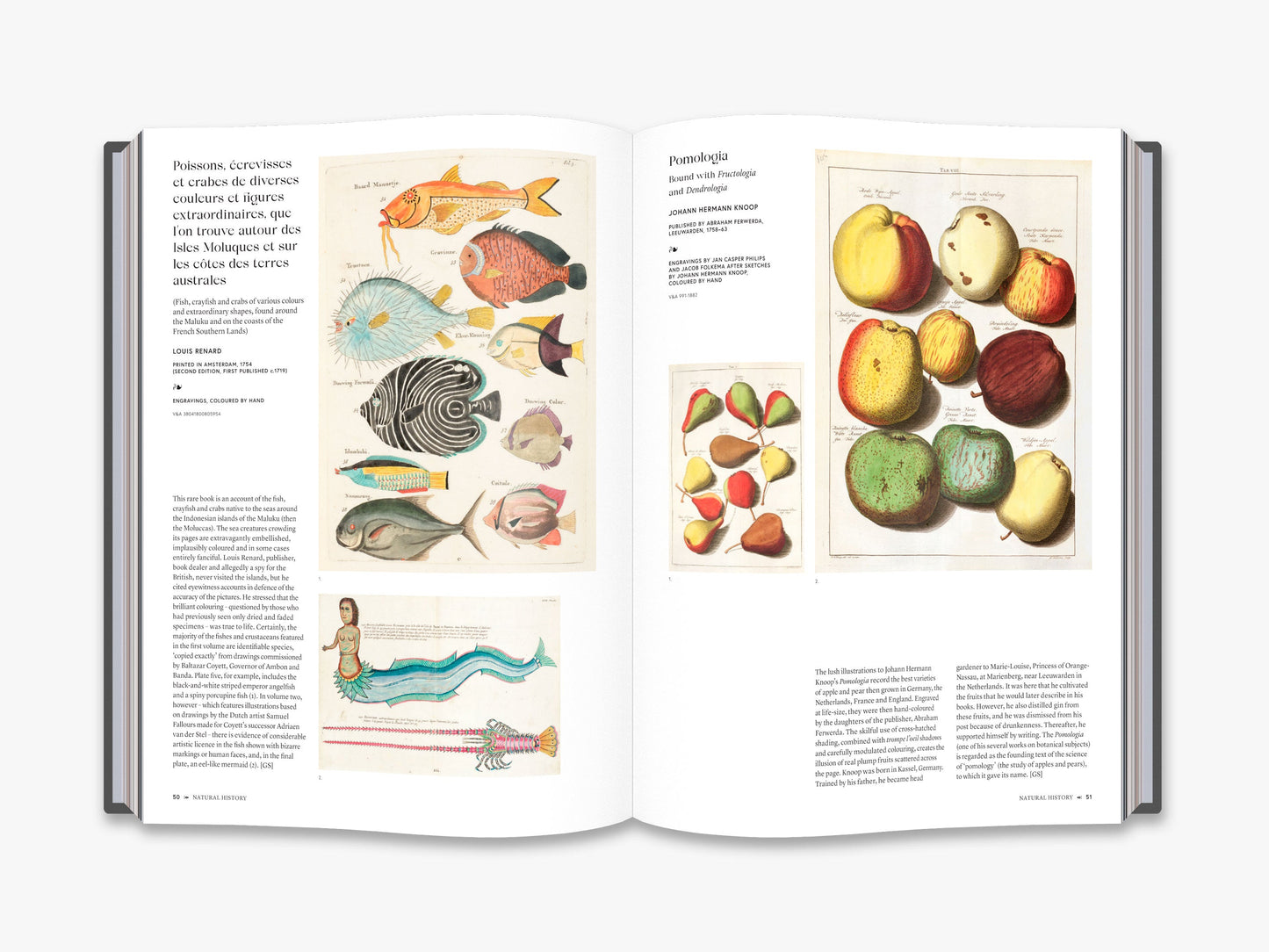 The Art of the Illustrated Book (Victoria and Albert Museum)