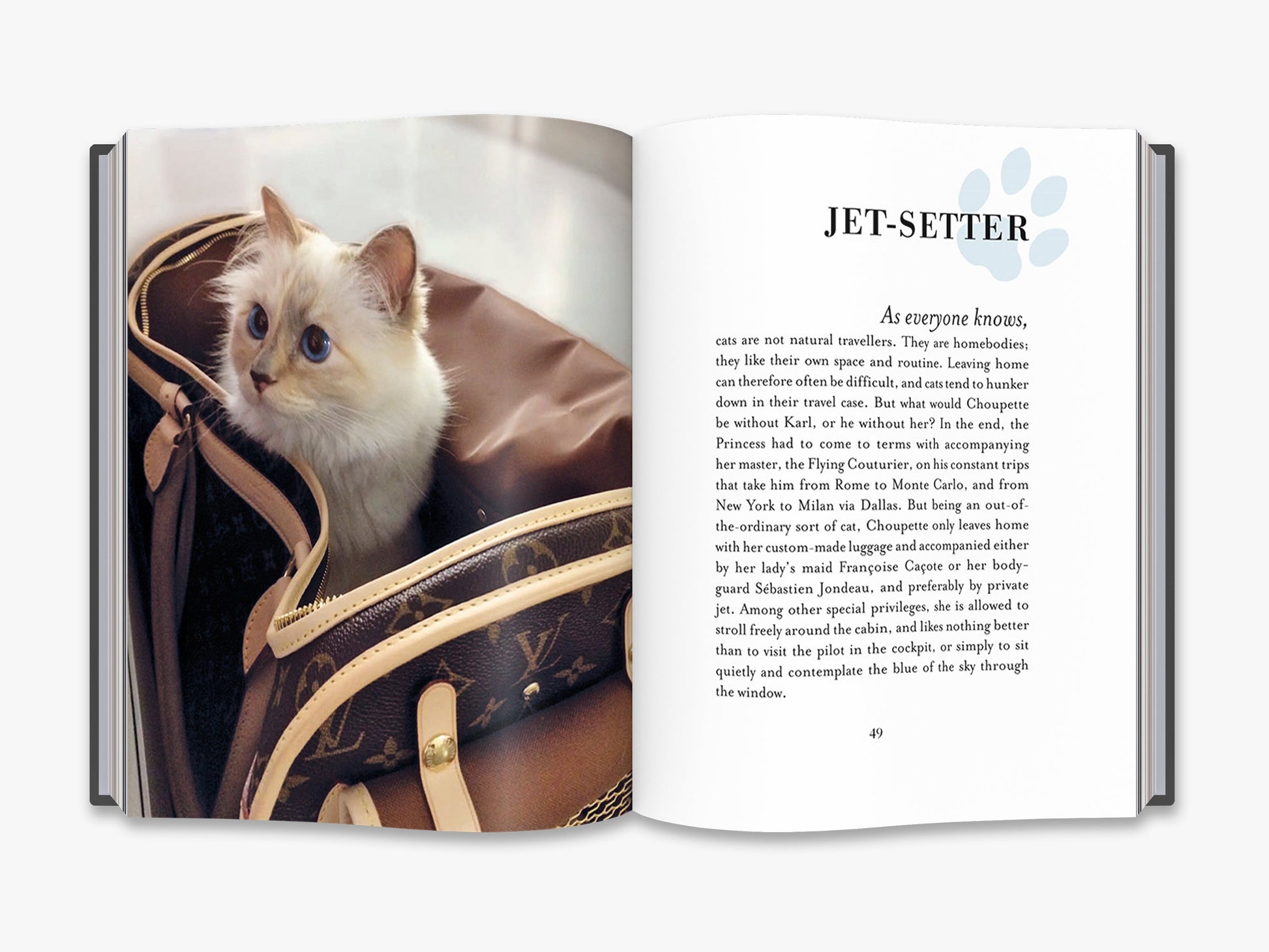 Choupette - interior 2
