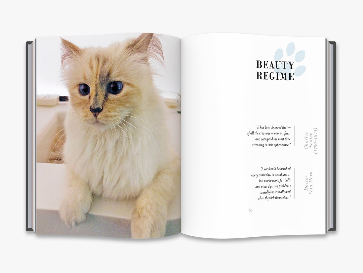Choupette - interior 3