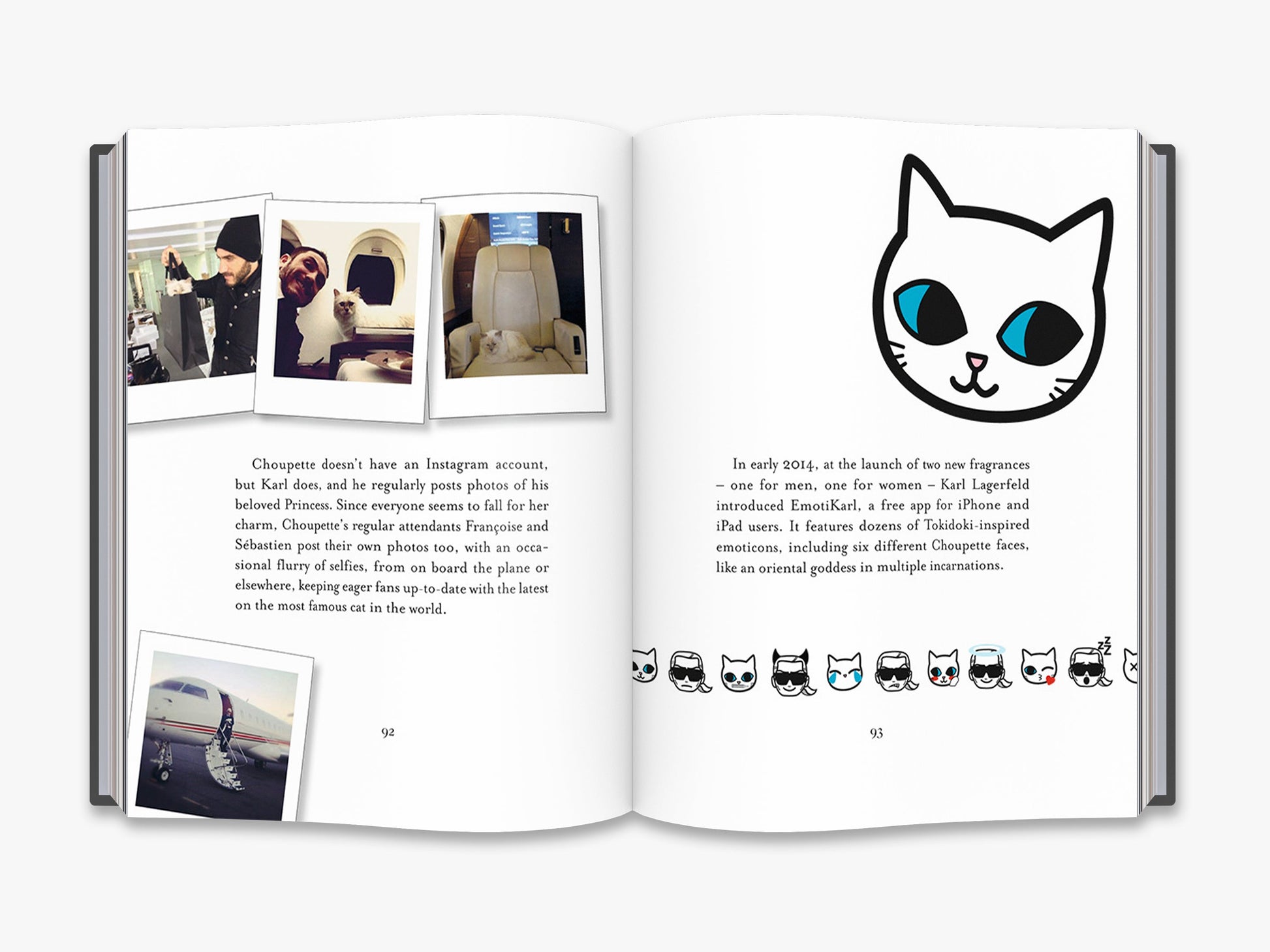 Choupette - interior 4