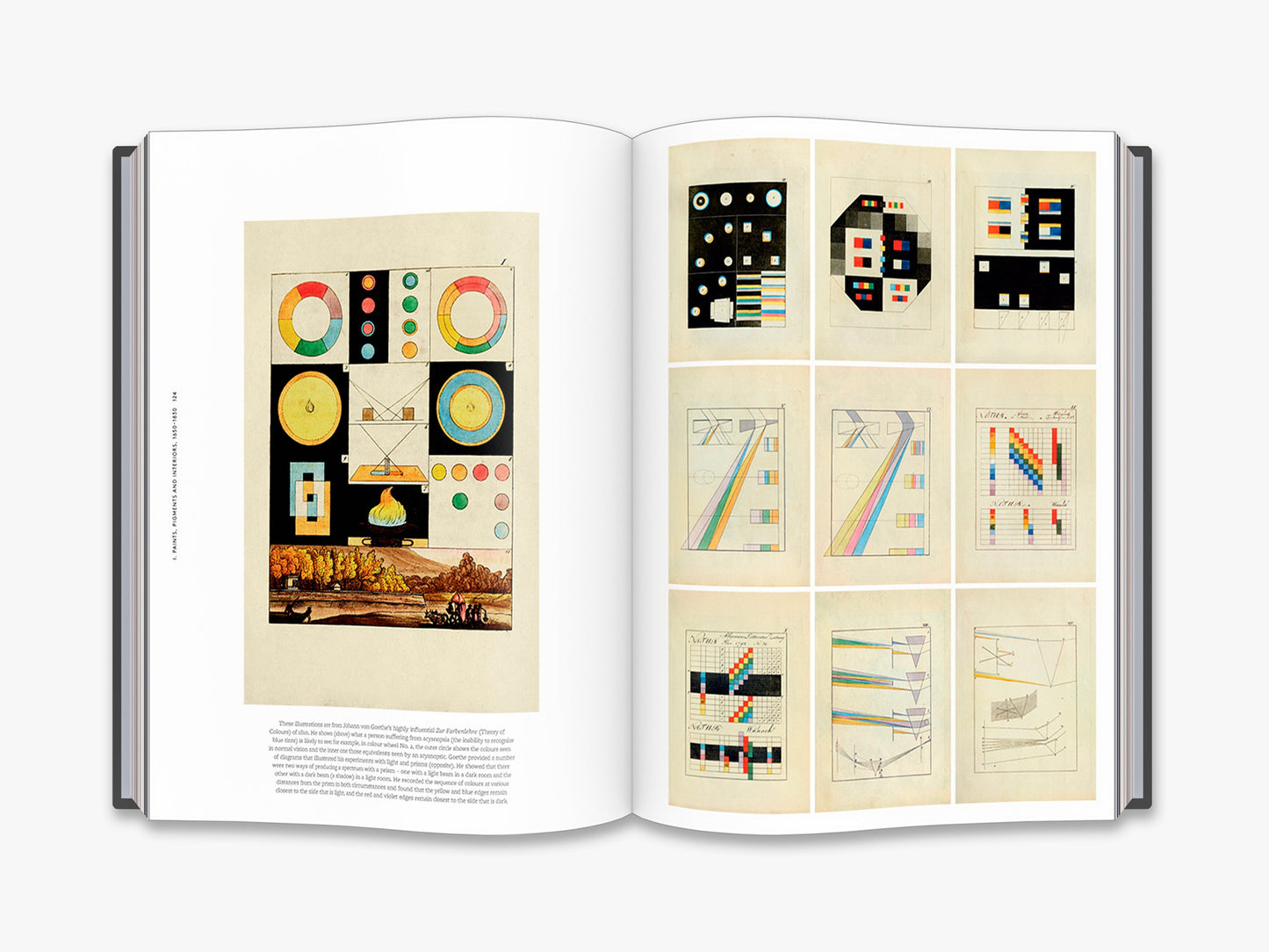 The Anatomy of Colour
